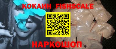 твердый Кингисепп