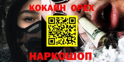 твердый Кингисепп