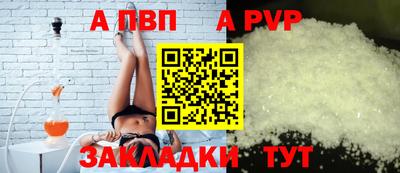 твердый Кингисепп