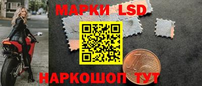 эйфоретик Кимры