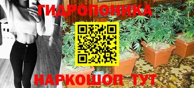 эйфоретик Кимры