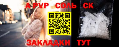 твердый Кингисепп