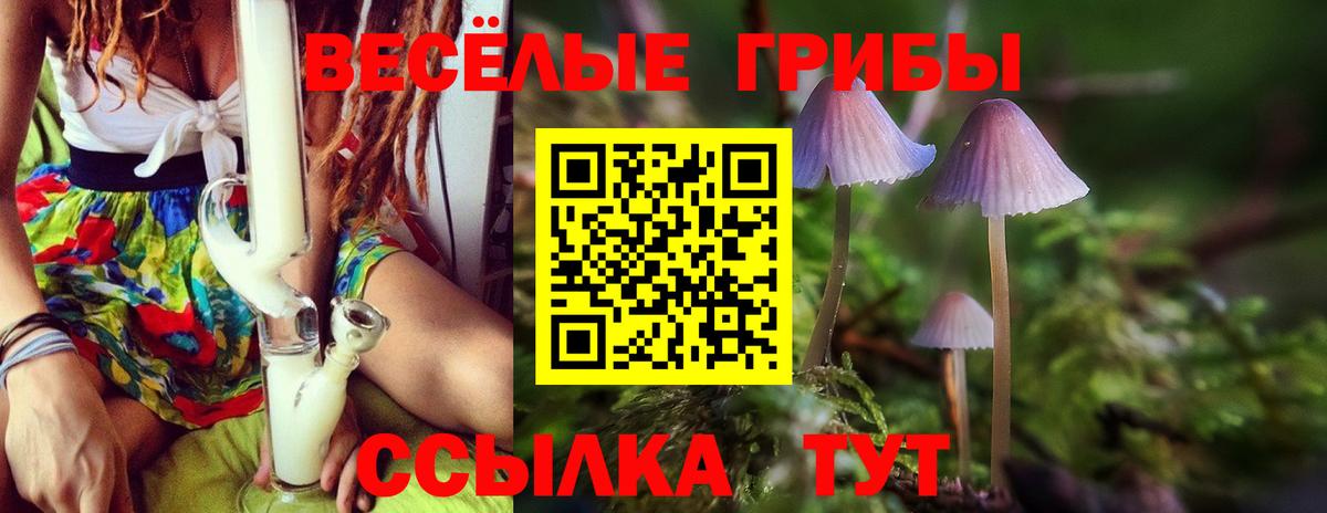 Коркино  Галлюциногенные грибы ЛСД  Псилоцибиновые грибы Magic Shrooms  Вход с VPN 